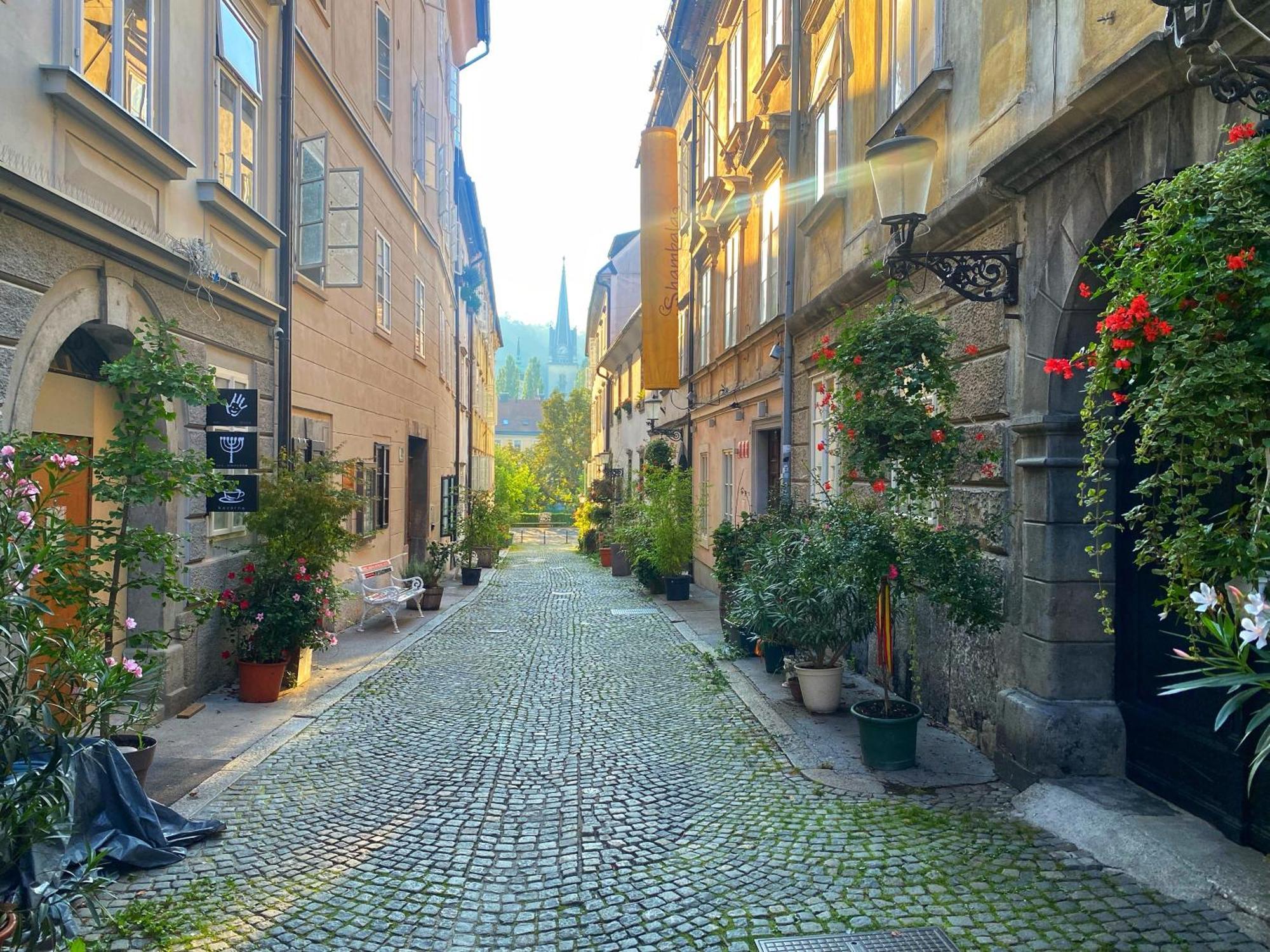 1Br Apartment On The Most Beautiful Street In Ljubljana Center Exteriör bild